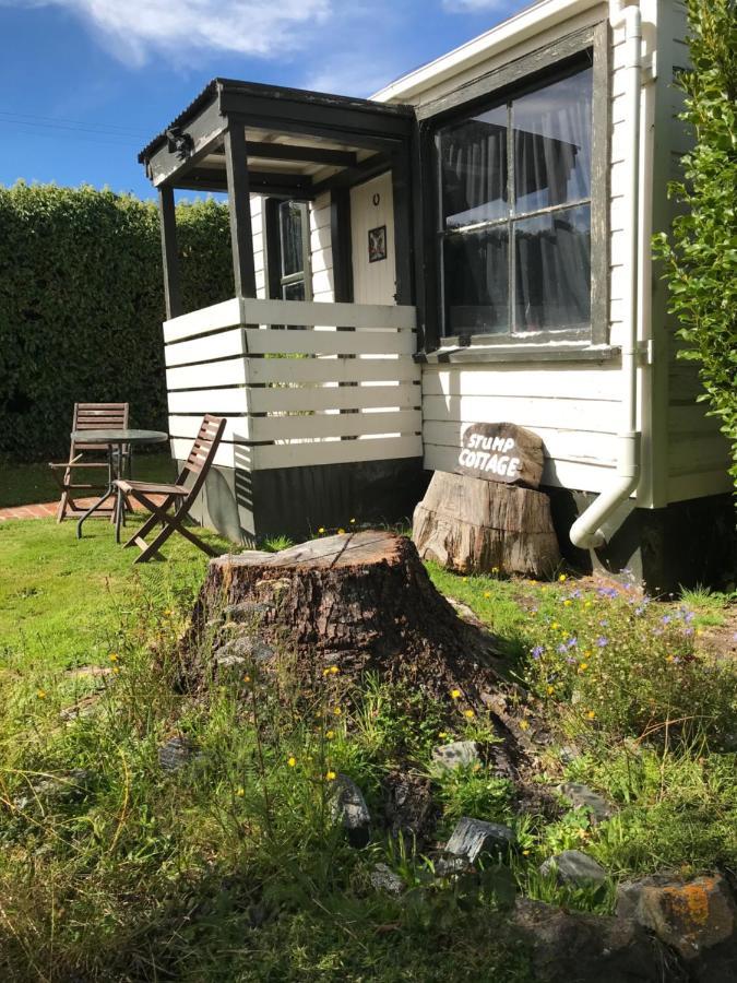 Stump Cottage Lumsden Bagian luar foto